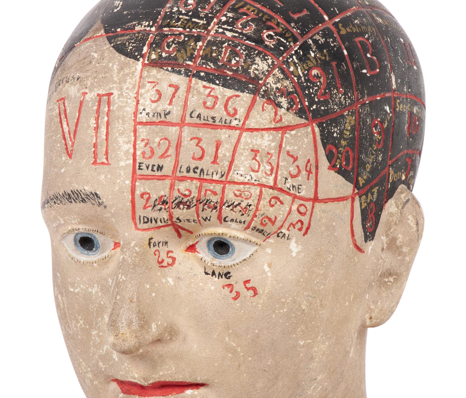 A Chalkware Phrenology Head