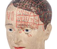 A Chalkware Phrenology Head