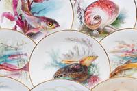 A Set of Twelve Mintons Parcel-Gilt Porcelain Fish and Shell Plates