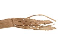 Apache Buffalo Hide Bowcase and Quiver, with Sinew-Backed Recurve Bow and Three Arrows