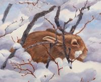 Sheltering in Snow , 2004