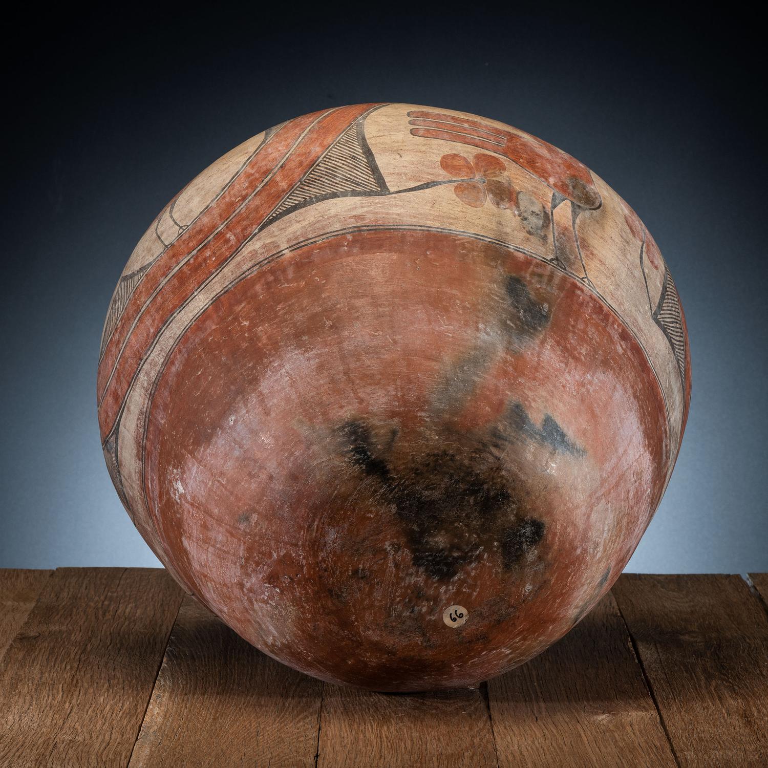 Zia Polychrome Pottery Olla