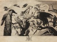 A Concert of Bird s, 1778