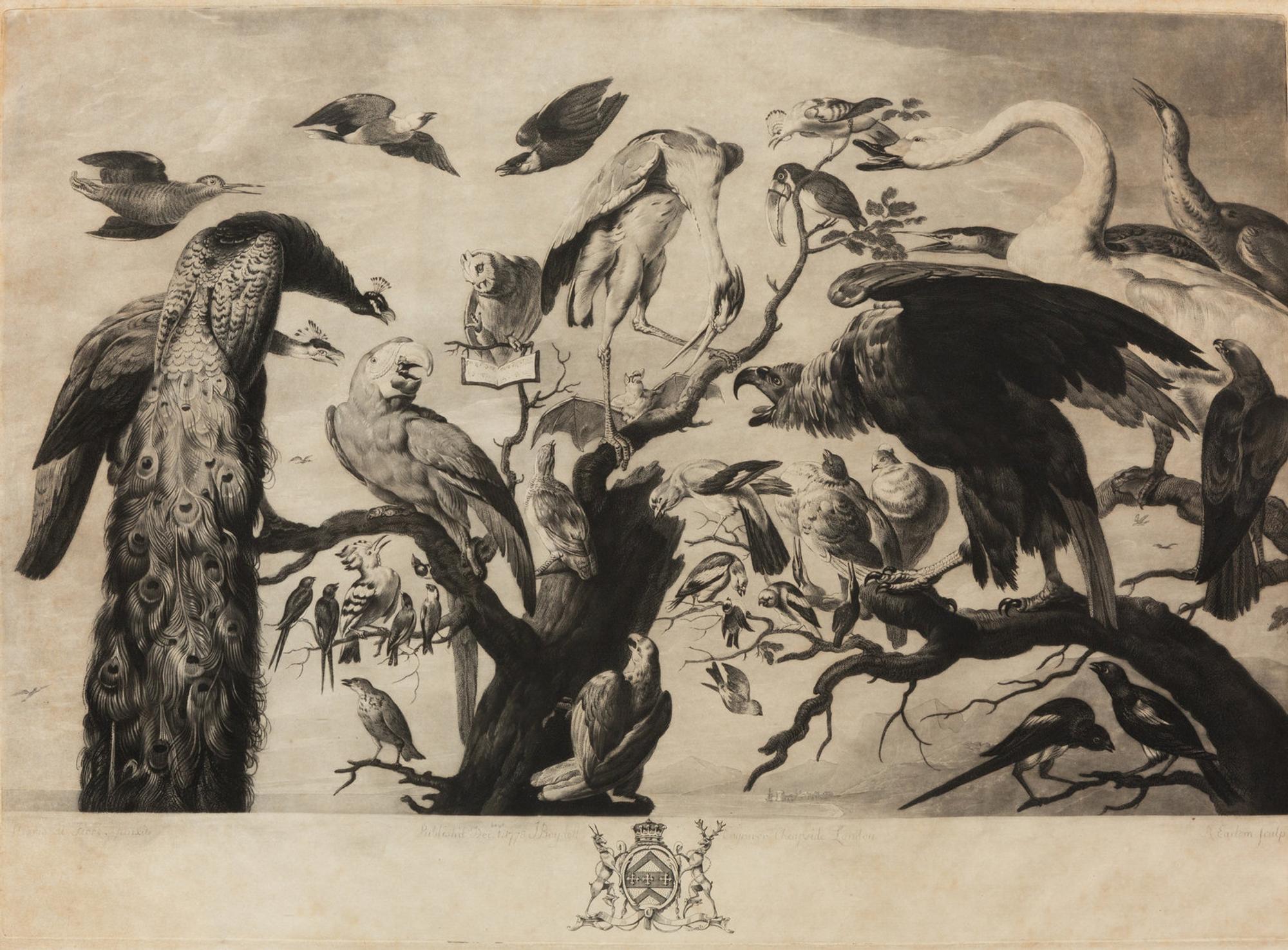 A Concert of Bird s, 1778