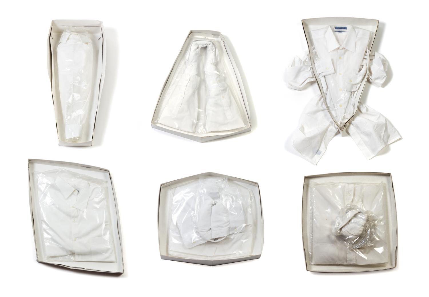 Elizabeth Diller and Ricardo Scofidio, (20th century), Bad Press: Dissident Housework Series, 1993-98