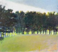 Line of Dark Trees & Weather Front