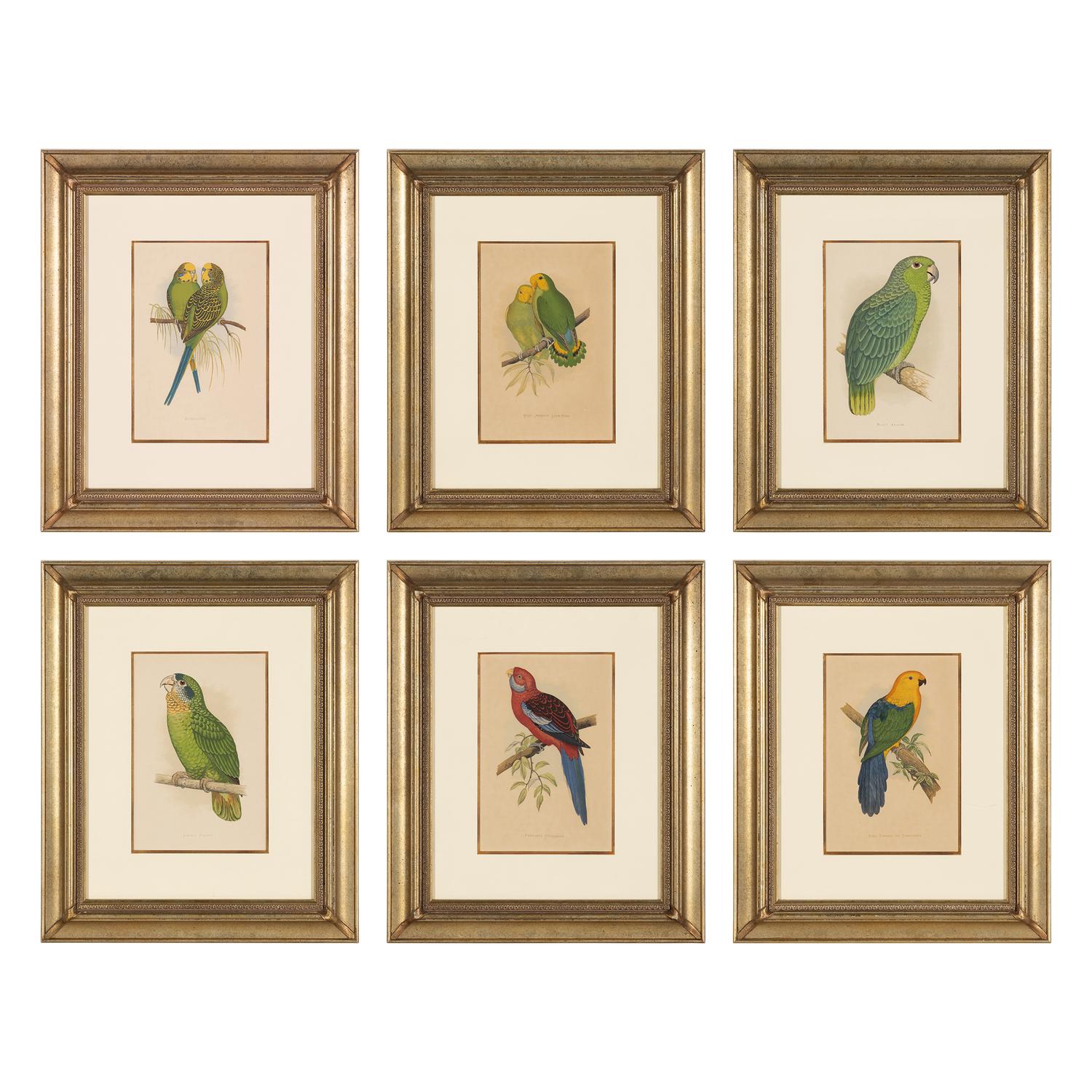 William Thomas Greene (English, 19th Century) — Parrots in Captivity (six plates, after Alexander F. Lydon)
