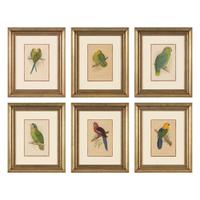 William Thomas Greene (English, 19th Century) — Parrots in Captivity (six plates, after Alexander F. Lydon)