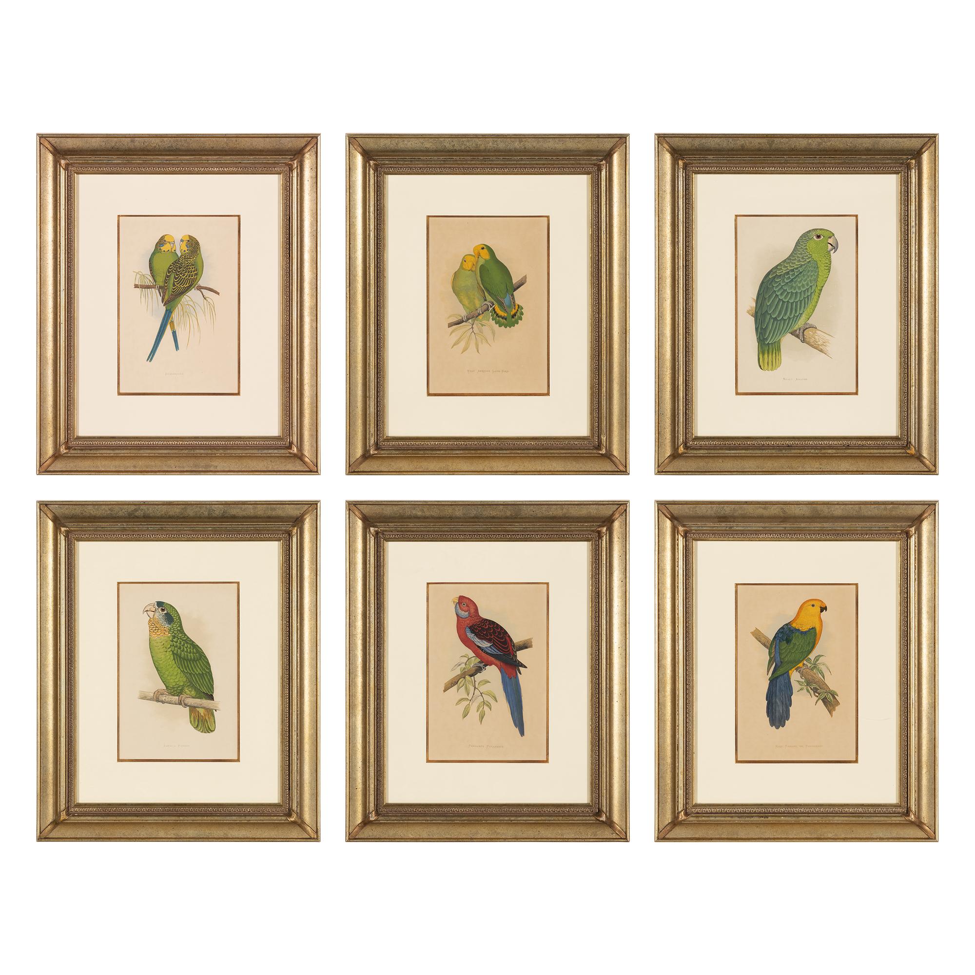 William Thomas Greene (English, 19th Century) — Parrots in Captivity (six plates, after Alexander F. Lydon)