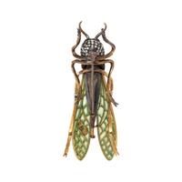 EVELYN CLOTHIER, DIAMOND, PLIQUE-À-JOUR ENAMEL AND CULTURED PEARL GRASSHOPPER BROOCH