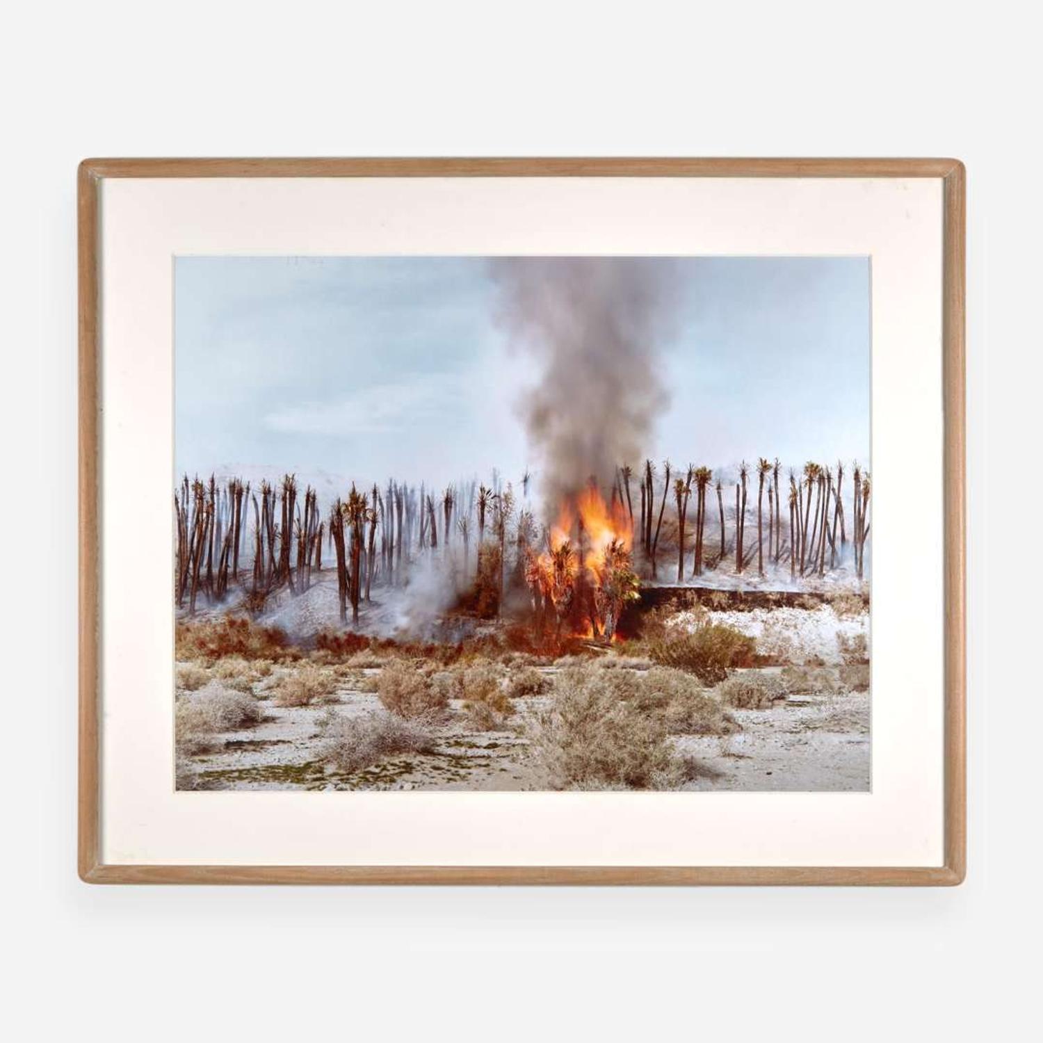 Richard Misrach (American, b.1949) Desert Fire #1 (Burning Palms) from Desert Canto IV: The Fires, 1983–1985