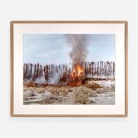 Richard Misrach (American, b.1949) Desert Fire #1 (Burning Palms) from Desert Canto IV: The Fires, 1983–1985