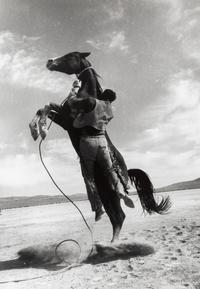 Ernst Haas (1921-1986) Leaping Horse (Clark Gable as Guy Langland doing his own stunts, on the set of "The Misfits,") Nevada, 1960