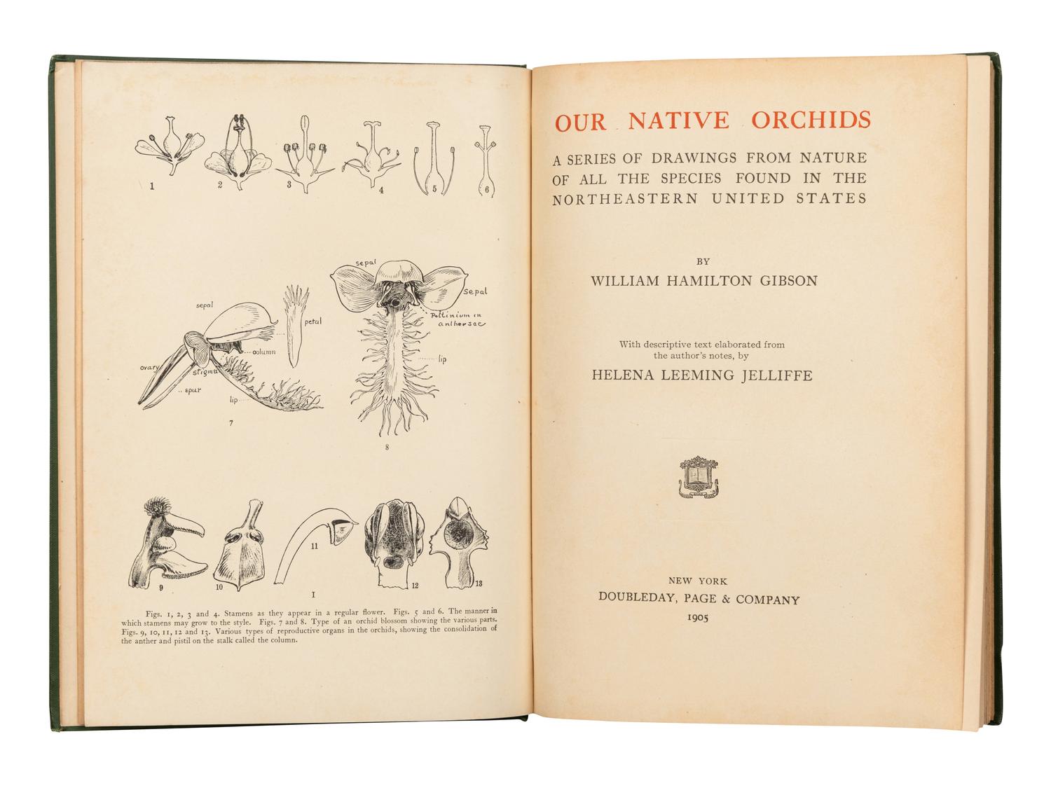 [ORCHIDS]. A group of 4 works about Orchids, comprising: