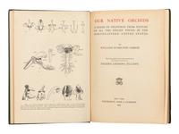[ORCHIDS]. A group of 4 works about Orchids, comprising: