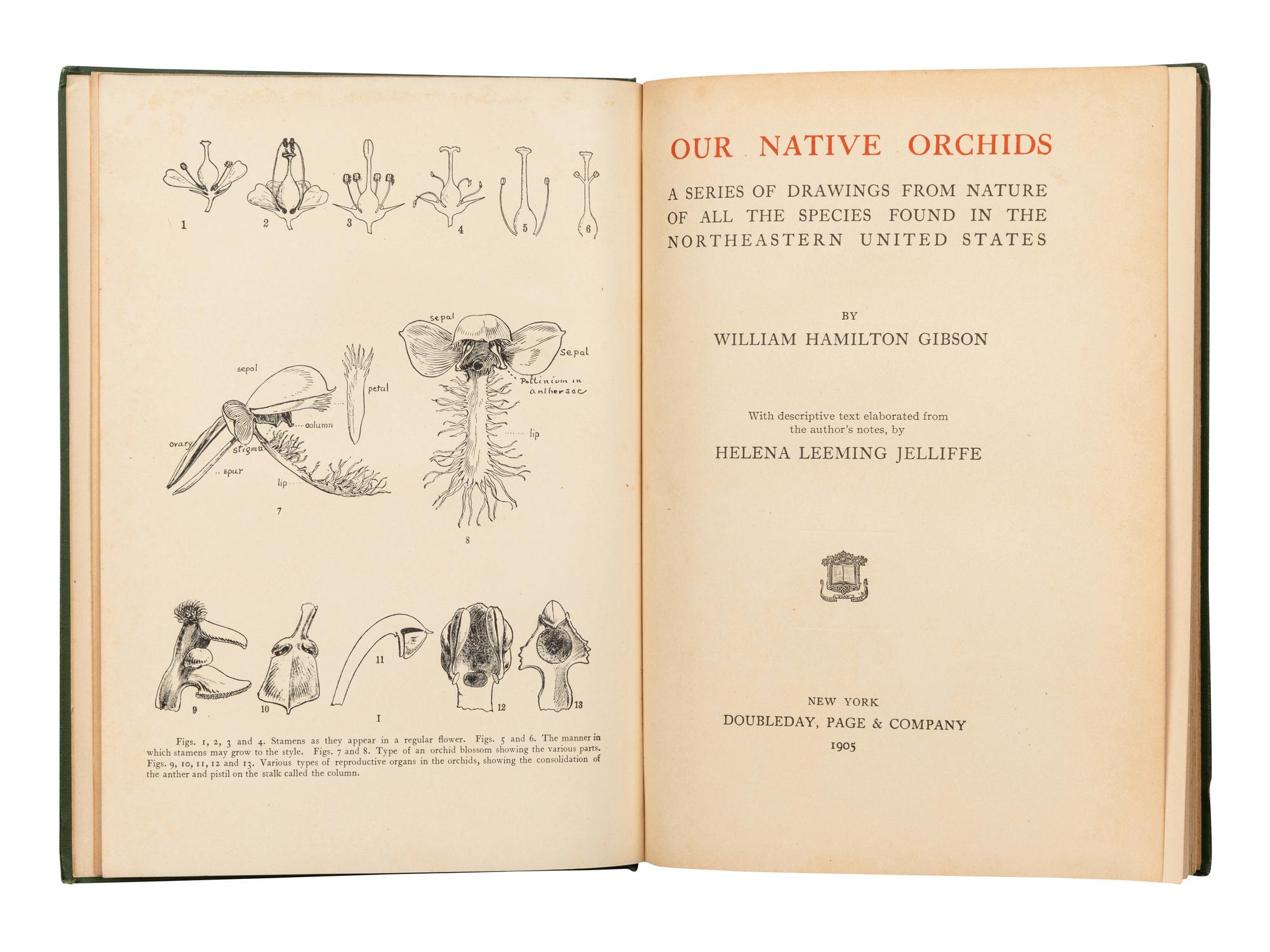[ORCHIDS]. A group of 4 works about Orchids, comprising: