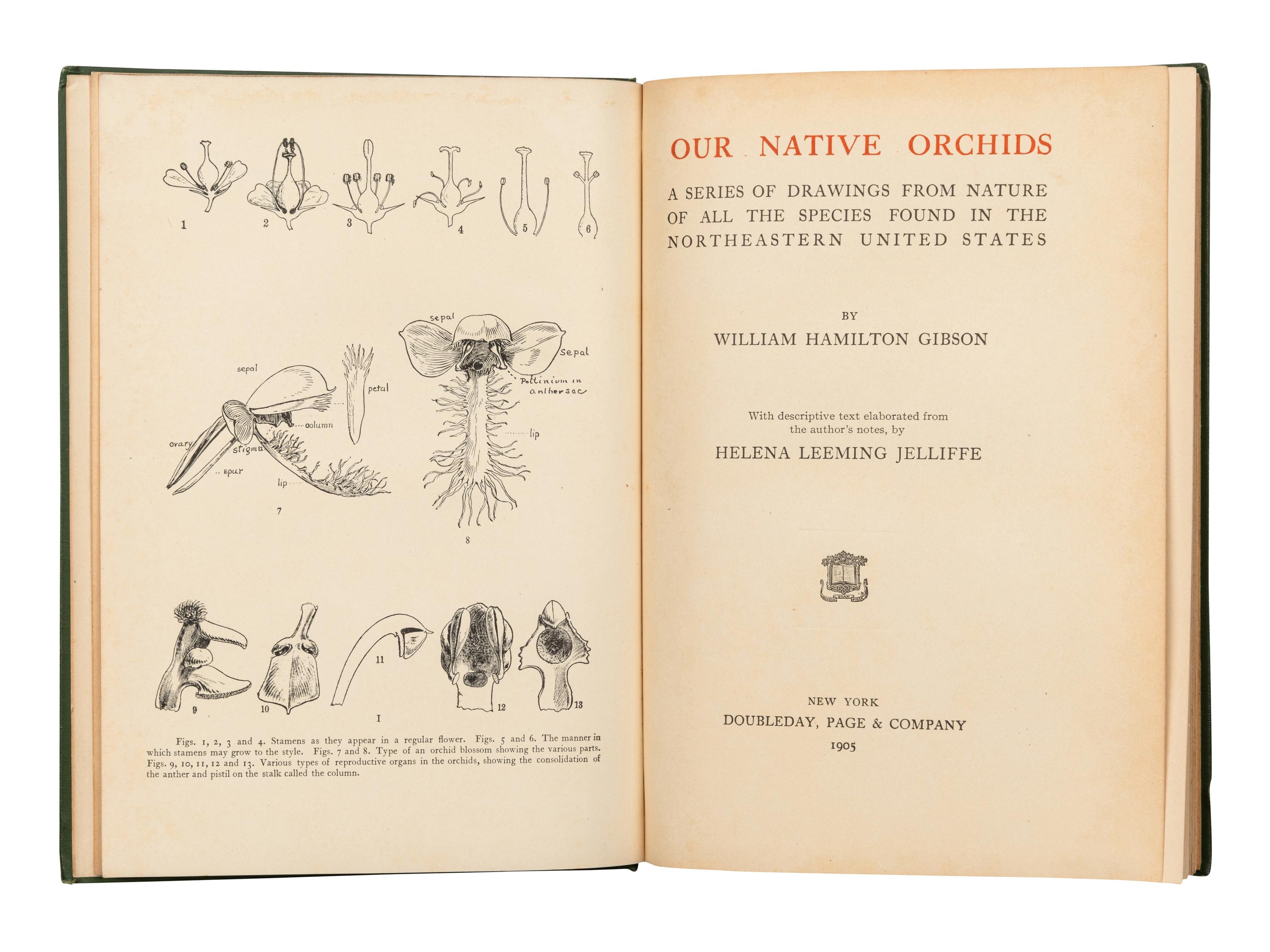 [ORCHIDS]. A group of 4 works about Orchids, comprising: