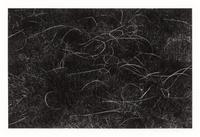 Grasses, Wisconsin