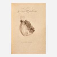 [Fine Bindings] Hawthorne, Nathaniel The Complete Writings of Nathaniel Hawthorne