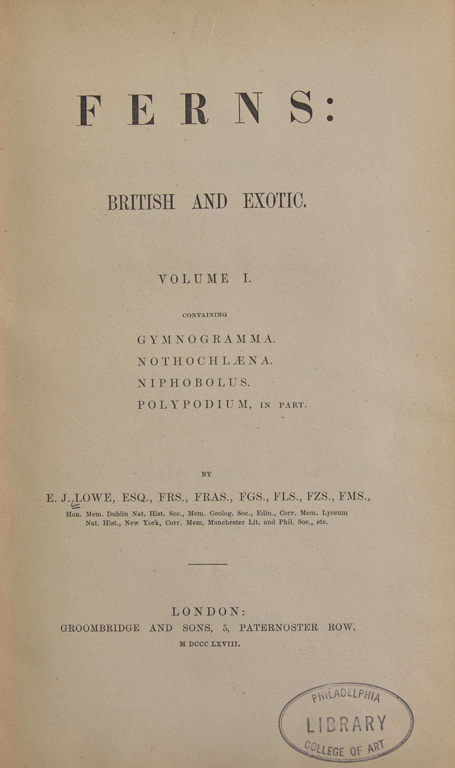 [Natural History] Lowe, E.J. Ferns: British and Exotic