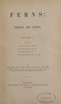 [Natural History] Lowe, E.J. Ferns: British and Exotic