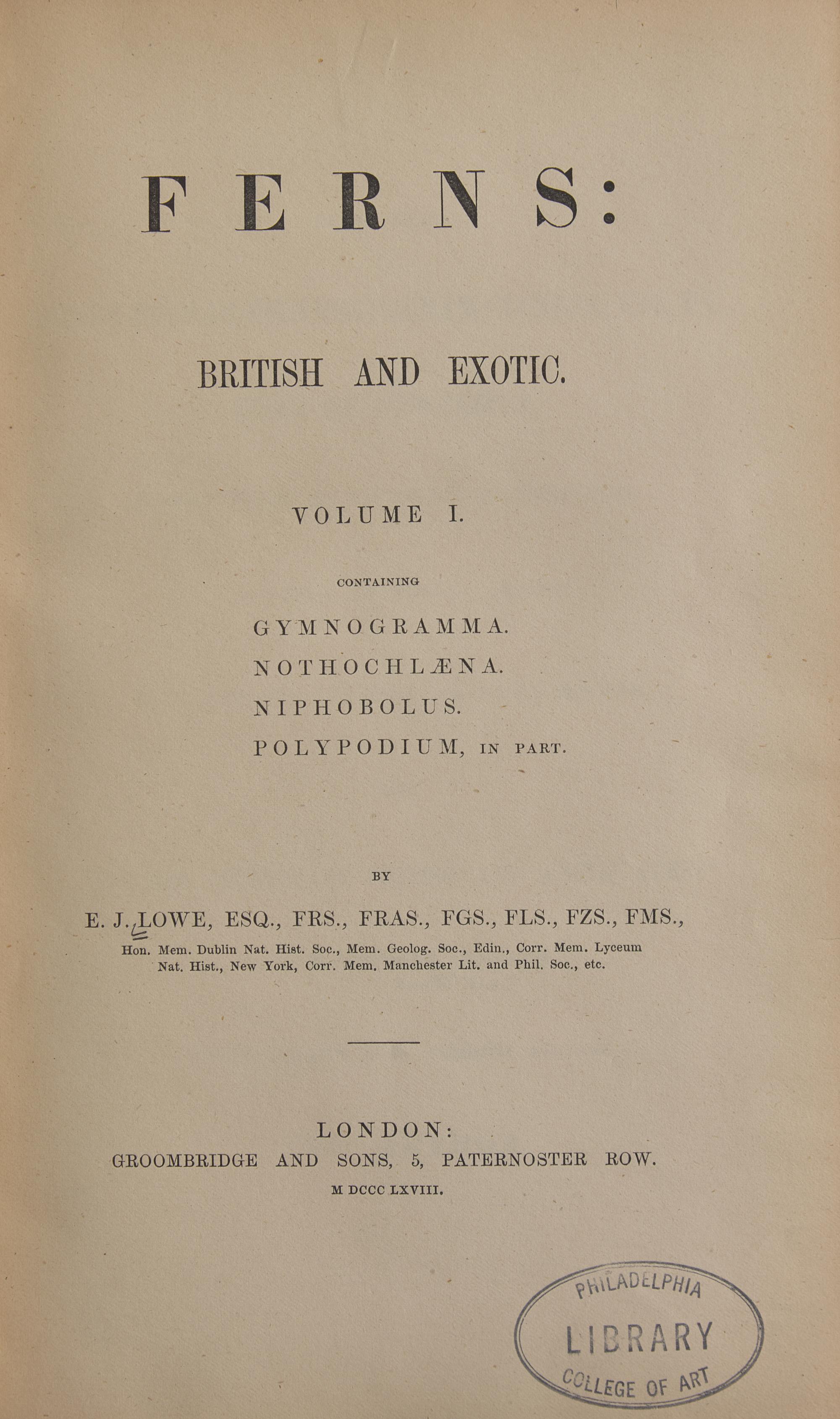 [Natural History] Lowe, E.J. Ferns: British and Exotic