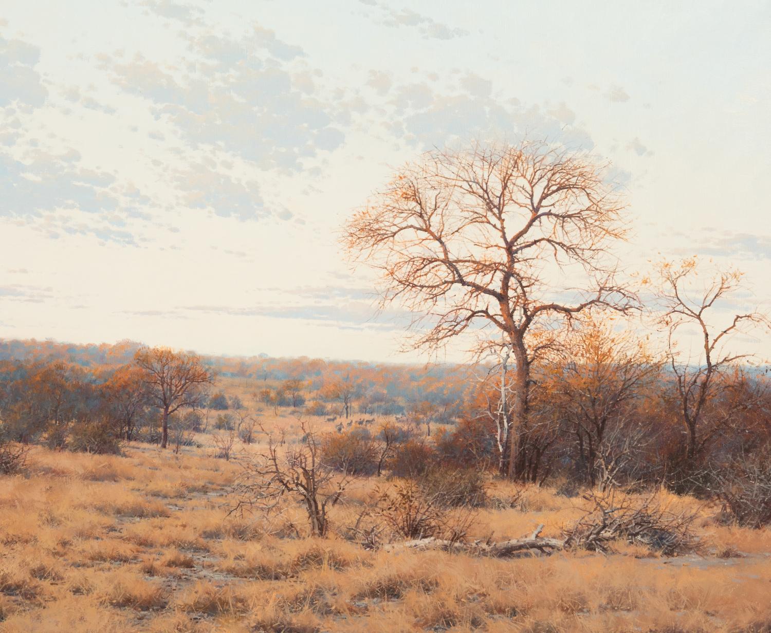 Bushveld