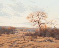 Bushveld