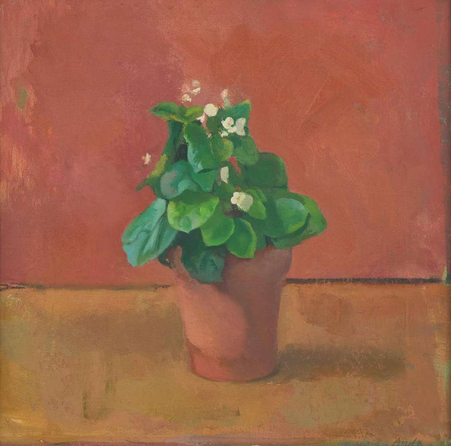 Lennart Anderson (American, 1928-2015) - White Begonia