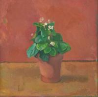 Lennart Anderson (American, 1928-2015) - White Begonia