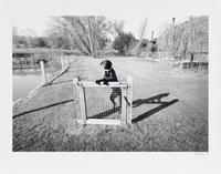 Gate and Guard Dog (from Scenes of Wonder & Curiosity ), 1975