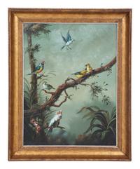 Exotic Birds in Misty Forest