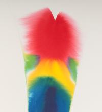 Phenomenon Phoenix Plume , 1975