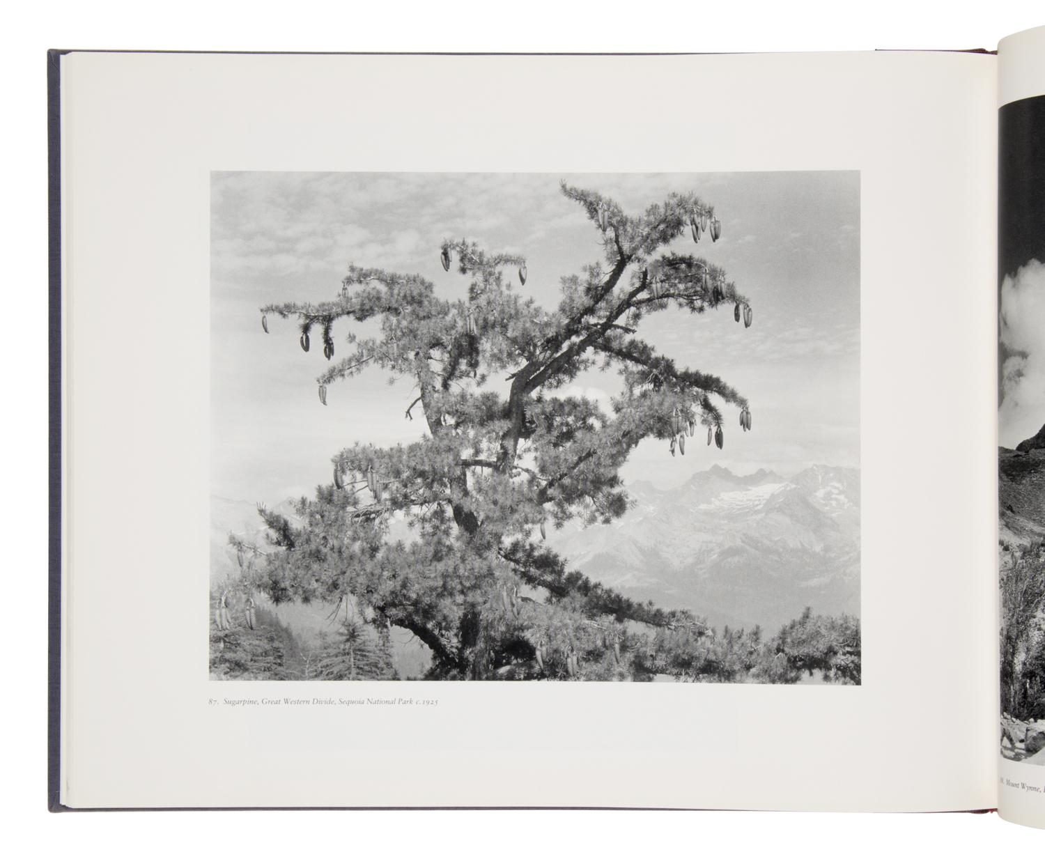 [Photography]. A group of 9 titles, several signed, comprising: