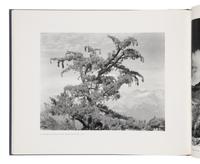 [Photography]. A group of 9 titles, several signed, comprising: