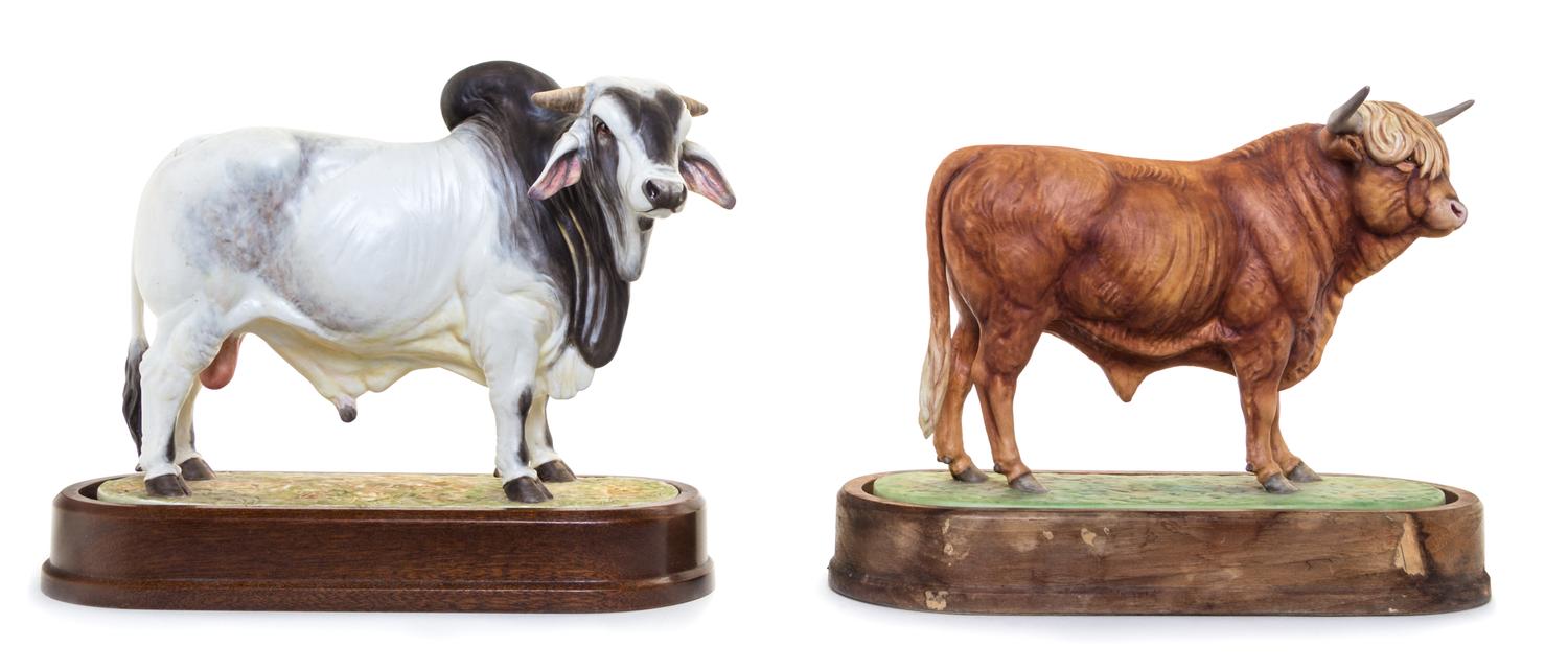 Two Royal Worcester Porcelain Models of Bulls Width of first 9 1/4 inches. — MODELED BY DORIS LINDNER
