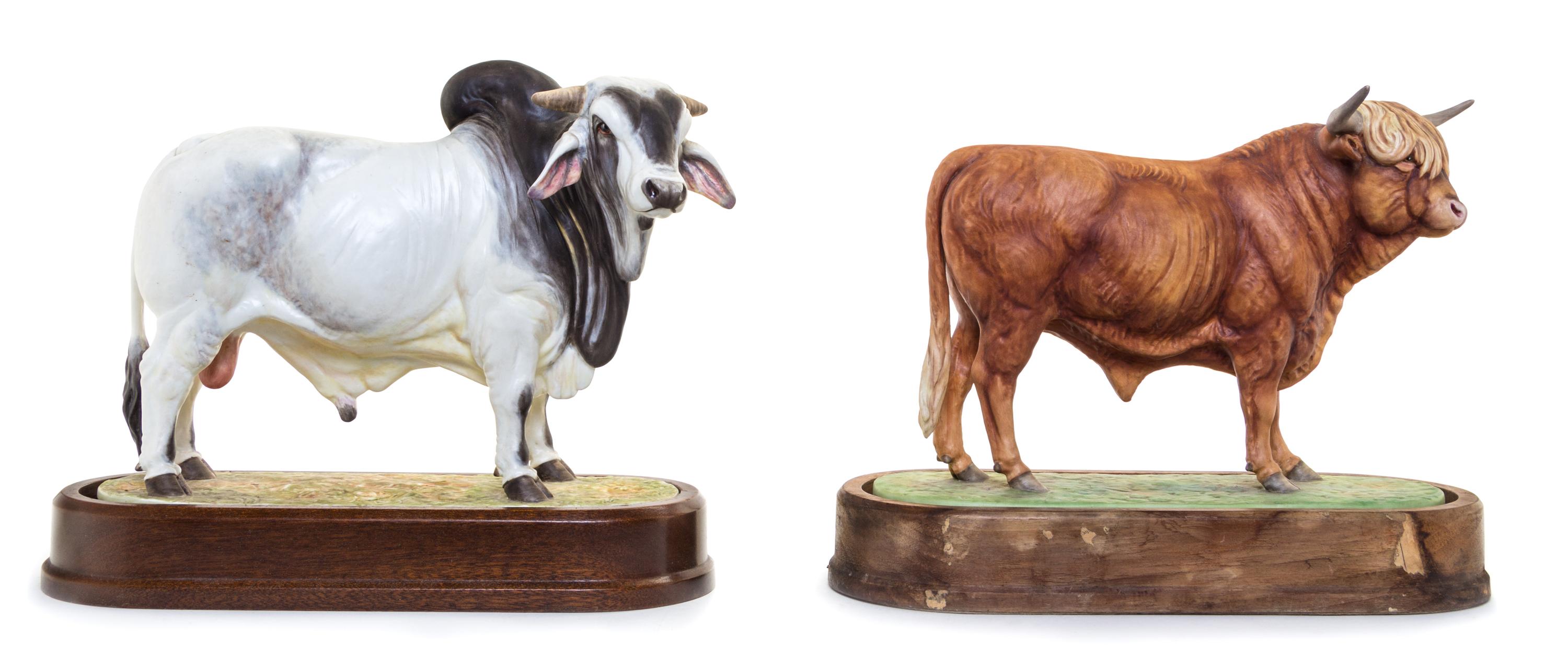 Two Royal Worcester Porcelain Models of Bulls Width of first 9 1/4 inches. — MODELED BY DORIS LINDNER