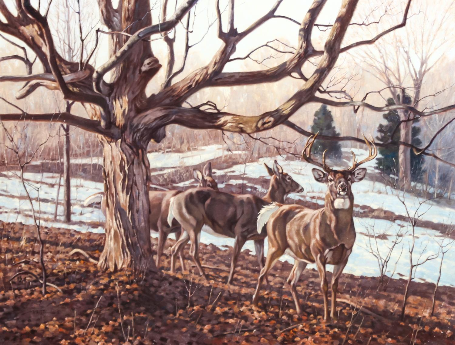Dan Metz (American, b. 1951)