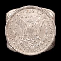 Twenty 1884-O Morgan $1 Coins