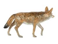 Coyote, edition 32/50