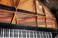A Steinway & Sons Model B Grand Piano