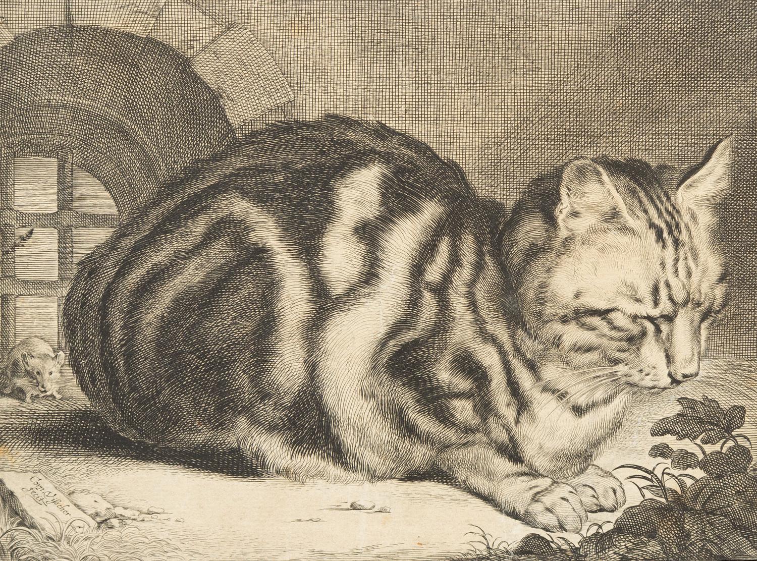 Cornelis Visscher, (Dutch, 1629-1658), The Large Cat, c. 1657