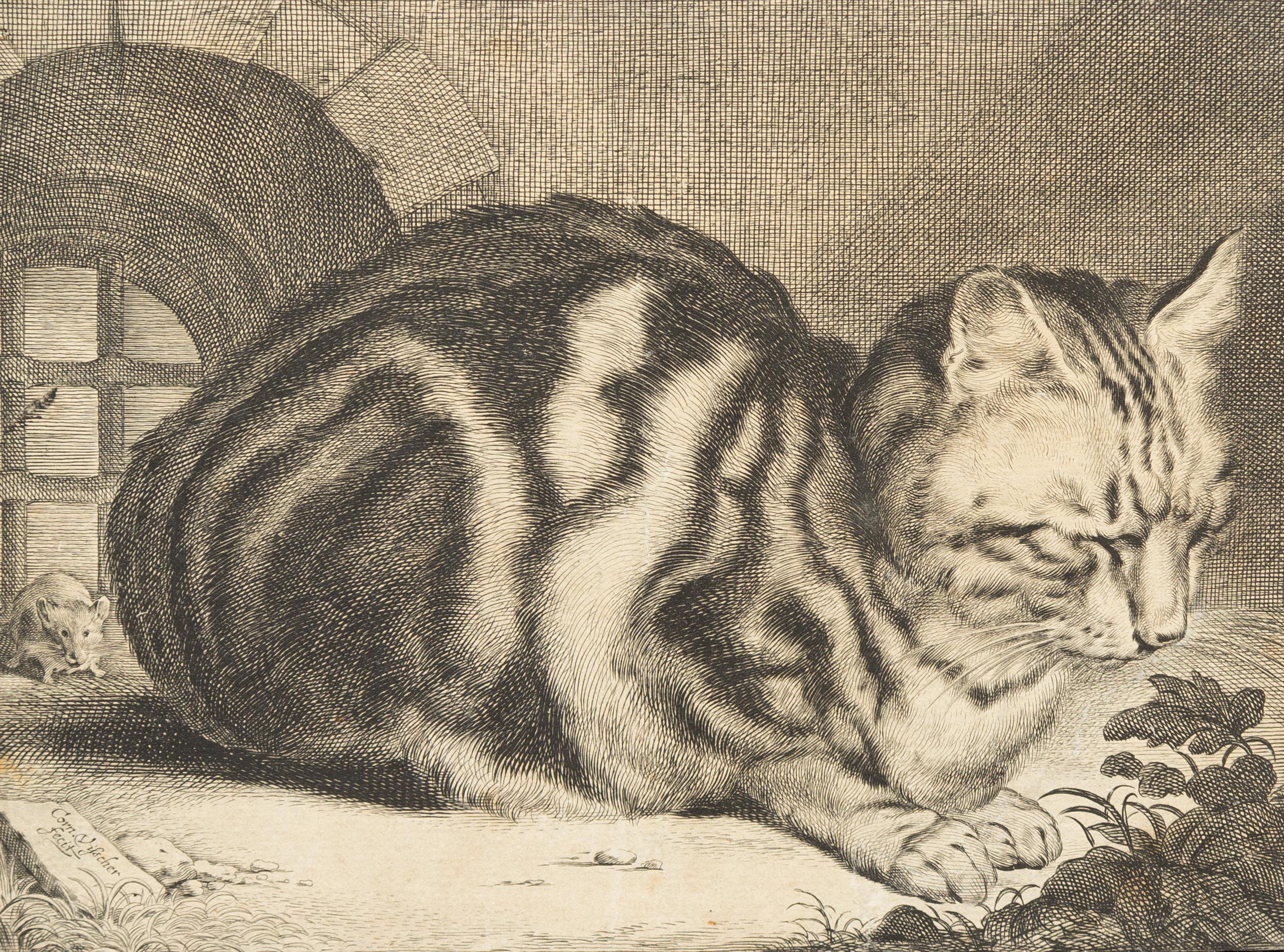 Cornelis Visscher, (Dutch, 1629-1658), The Large Cat, c. 1657
