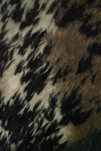 Flying Leaves