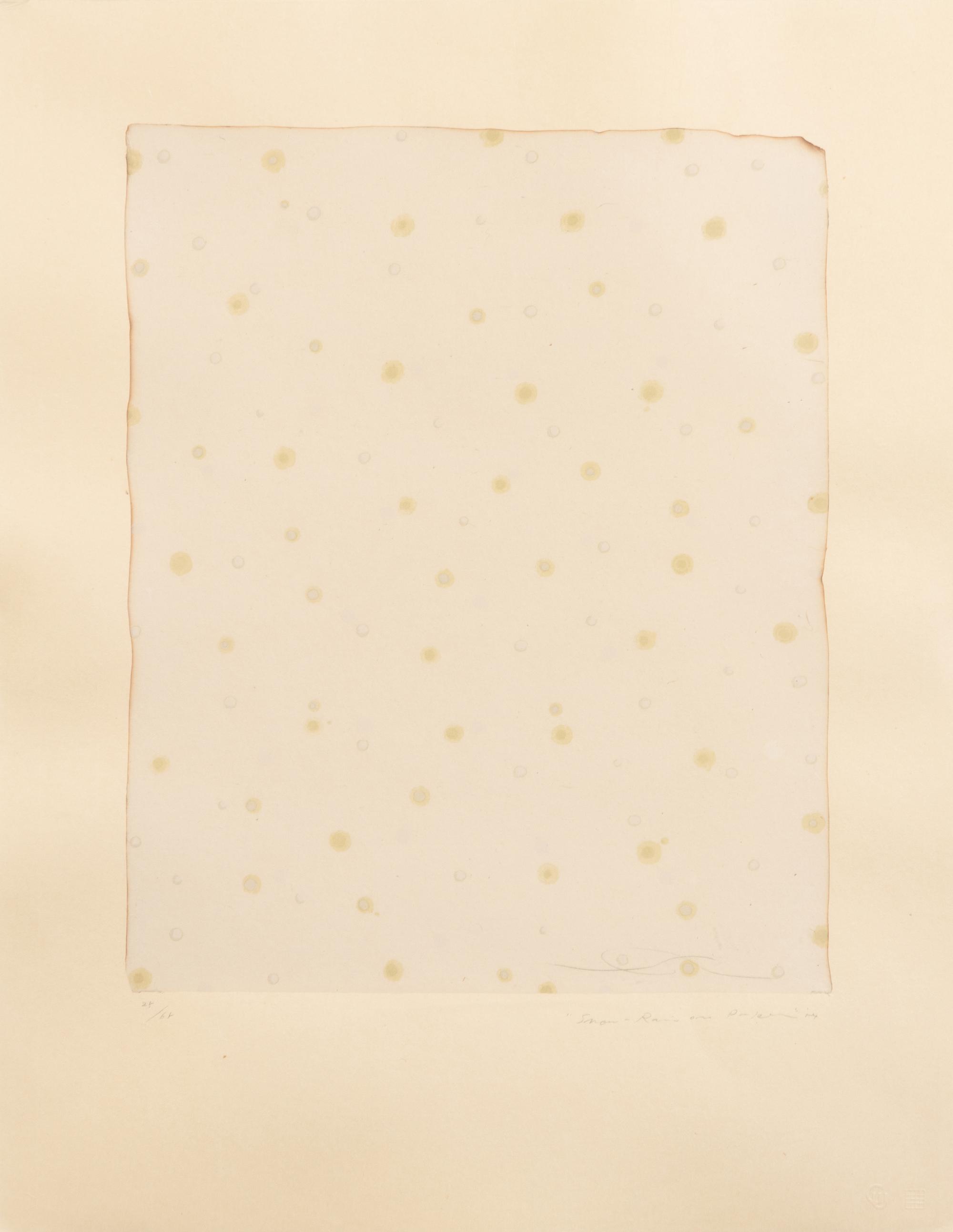 Flowers, Rain, Snow, and Wind - Rain on Paper