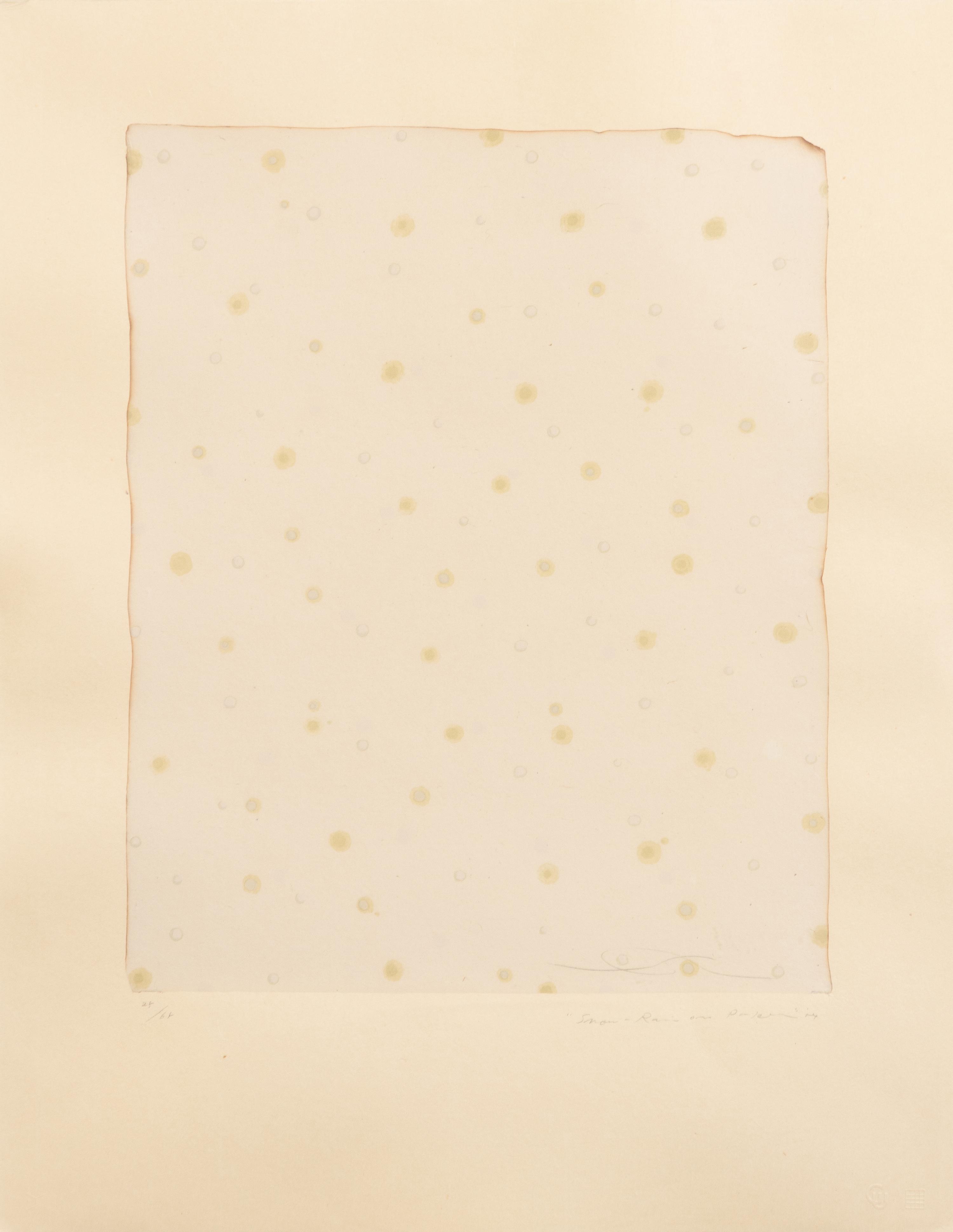 Flowers, Rain, Snow, and Wind - Rain on Paper