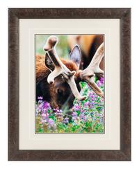 Velvet and Lupine , edition 788/1500