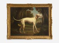Circle of Jean-Baptiste Oudry (French 1656-1755) - White Greyhound in a Landscape