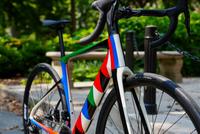 Odili Donald Odita (Nigerian-American, b. 1966) — Cannondale Synapse Carbon 4