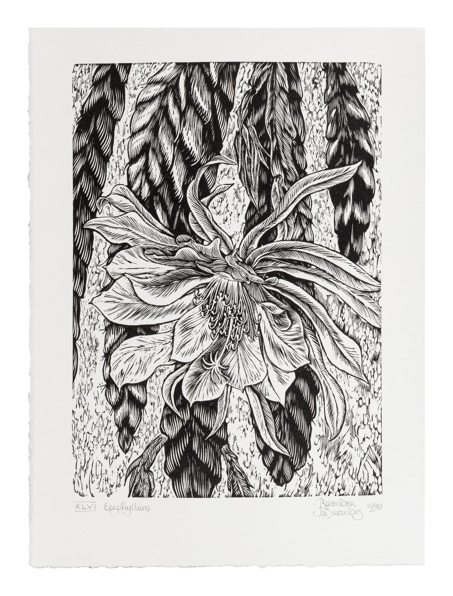 [BARBARIAN PRESS]. A group of 4 works from the "Endgrain Editions" series, comprising: